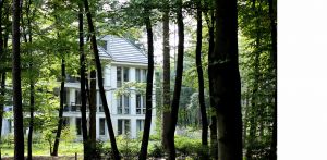 bostuin Palisium Eerbeek waar 4 appartementscomplexen minutieus op een boskavel zijn ingepast met bewust bomen tot vlak aan de gebouwen Denkers in Tuinen.