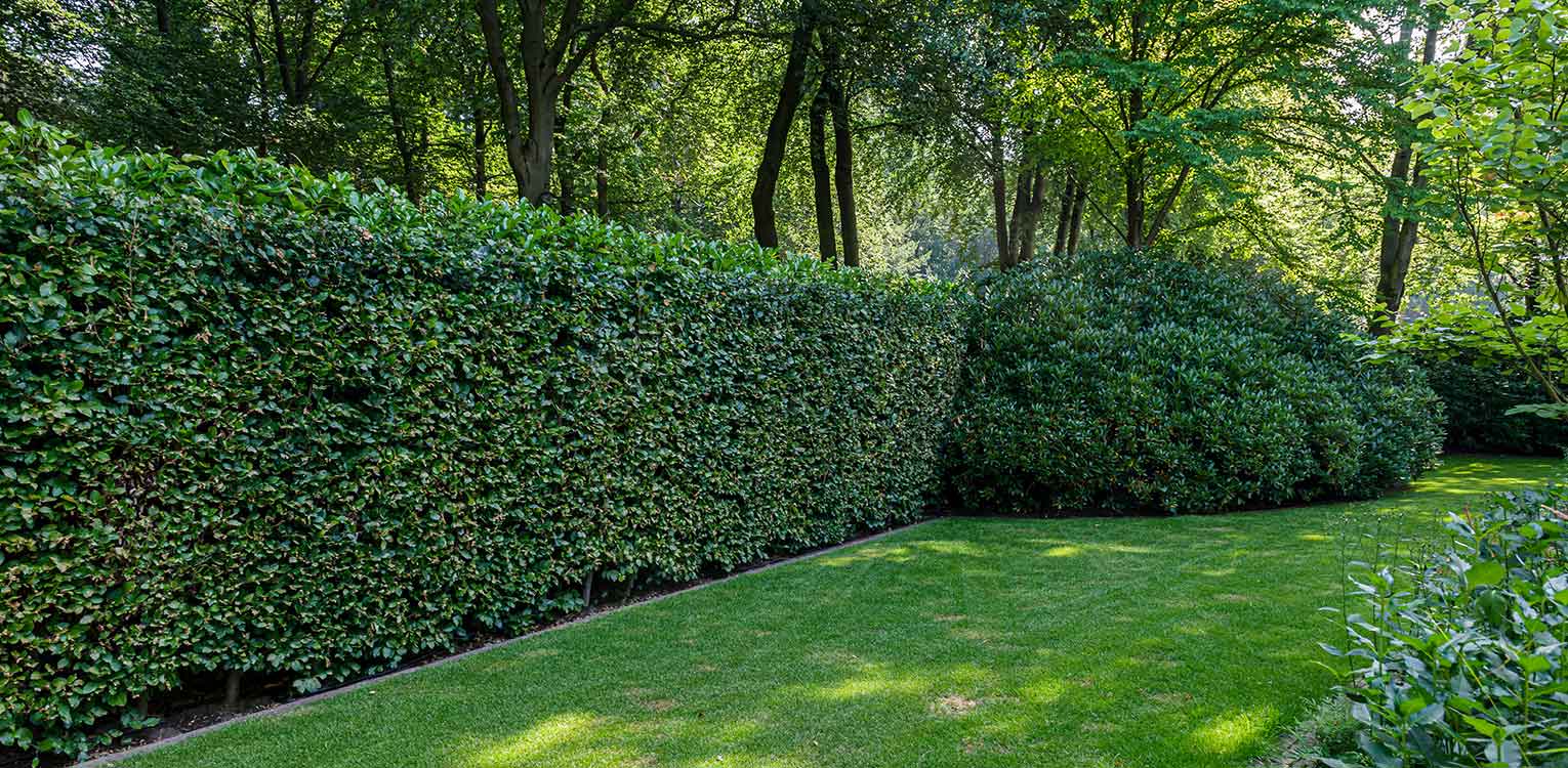 Denkers-in-Tuinen-Renovatie-villatuin-Apeldoorn-2