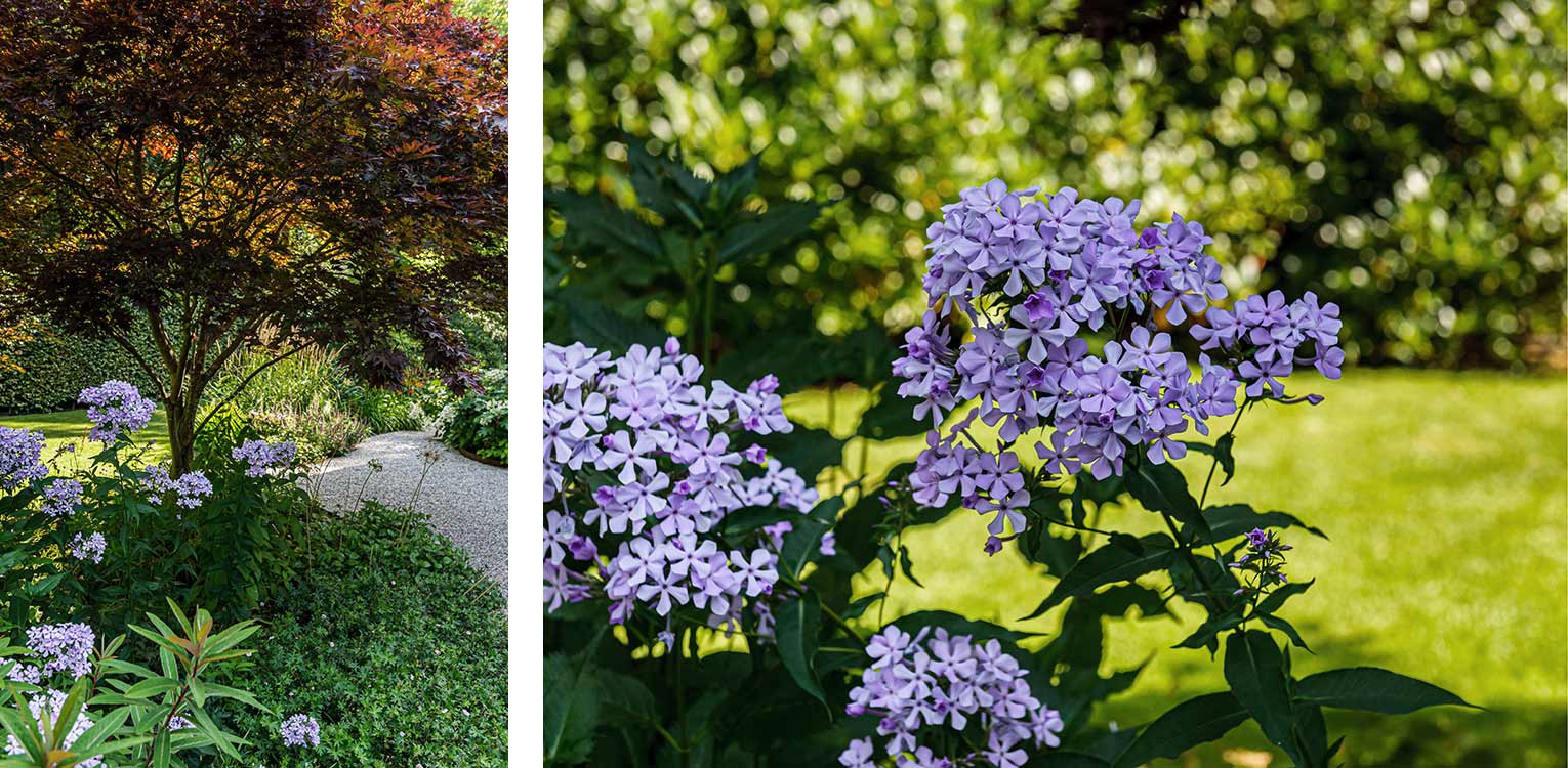 Denkers-in-Tuinen-Renovatie-villatuin-Apeldoorn-3