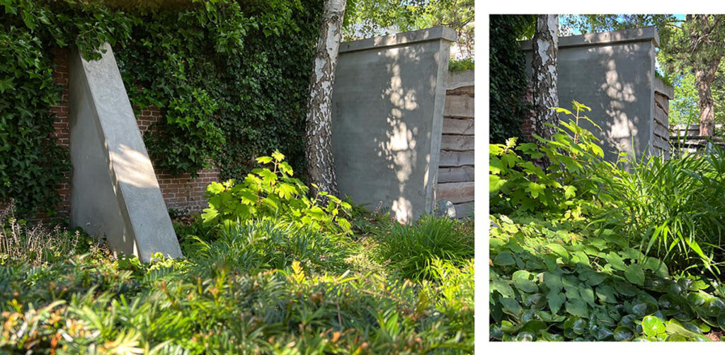 tuinontwerp-stadstuin-Den-Haag-onderbegroeiing-denkers-in-tuinen-tuinarchitectuur-1-1024x502