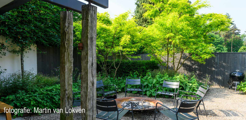 tuinontwerp-stadstuin-zeist-eiken-kolommen-vuurschaal-tuinarchitectuur-denkers-in-tuinen-1024x502
