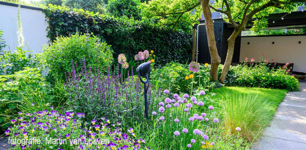 tuinontwerp-stadstuin-zeist-witte-gestucte-muur-borderbeplanting-tuinarchitectuur-denkers-in-tuinen-1024x502