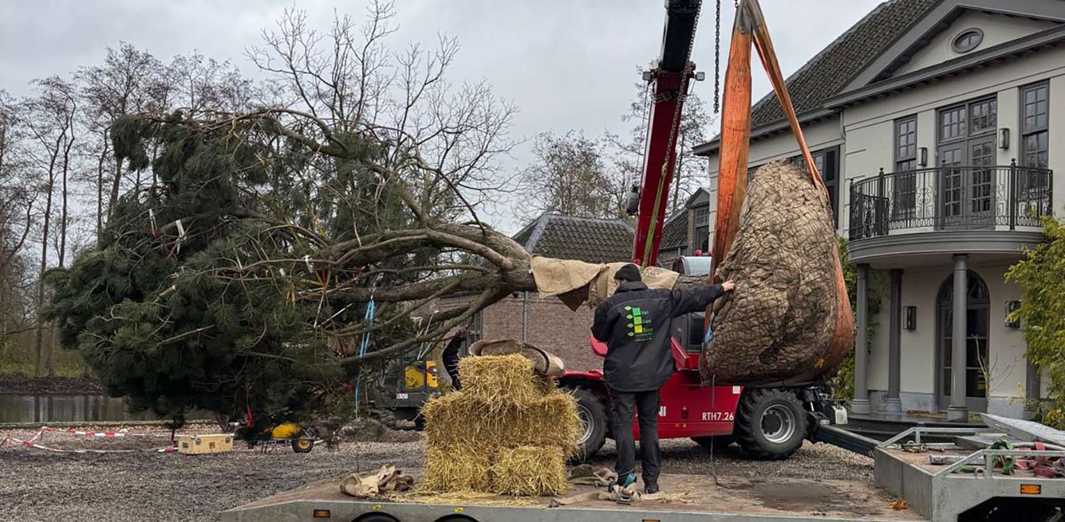 e49c1981-71e7-4328-ab30-3accb6d5536c