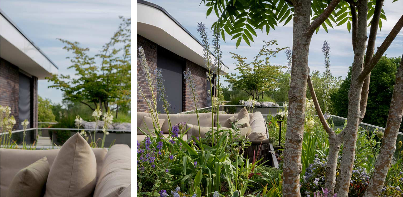 tuinontwerp-daktuin-Apeldoorn-dak-bomen-denkers-in-tuinen-Apeldoorn-tuinarchitectuur