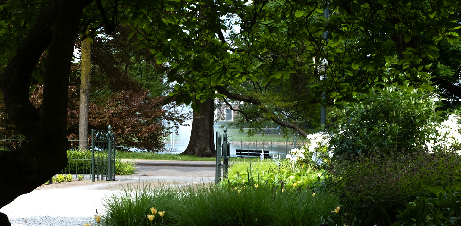 tuinontwerp-kantoorvilla-Apeldoorn-oranjepark-denkers-in-tuinen-Apeldoorn-tuinarchitectuur
