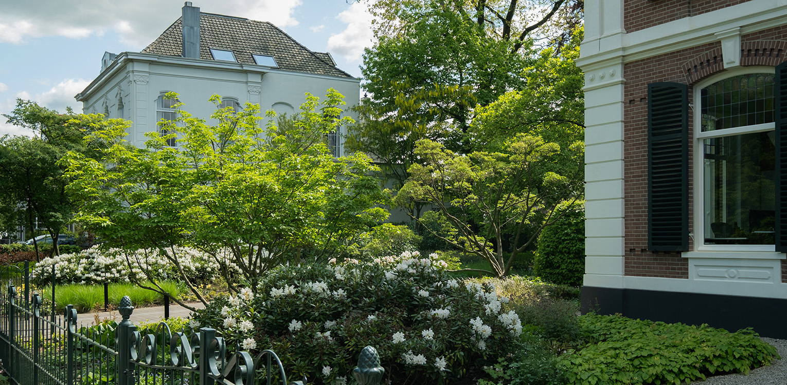 tuinontwerp-kantoorvilla-Apeldoorn-rhododendron-cunninghams-white-denkers-in-tuinen-Apeldoorn-tuinarchitectuur