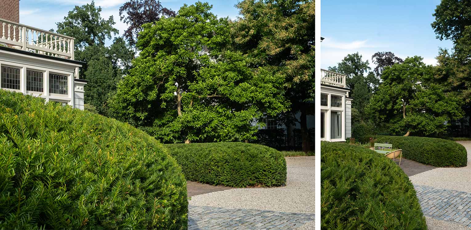 tuinontwerp-kantoorvilla-Apeldoorn-taxus-snoeivorm-5-denkers-in-tuinen-Apeldoorn-tuinarchitectuur