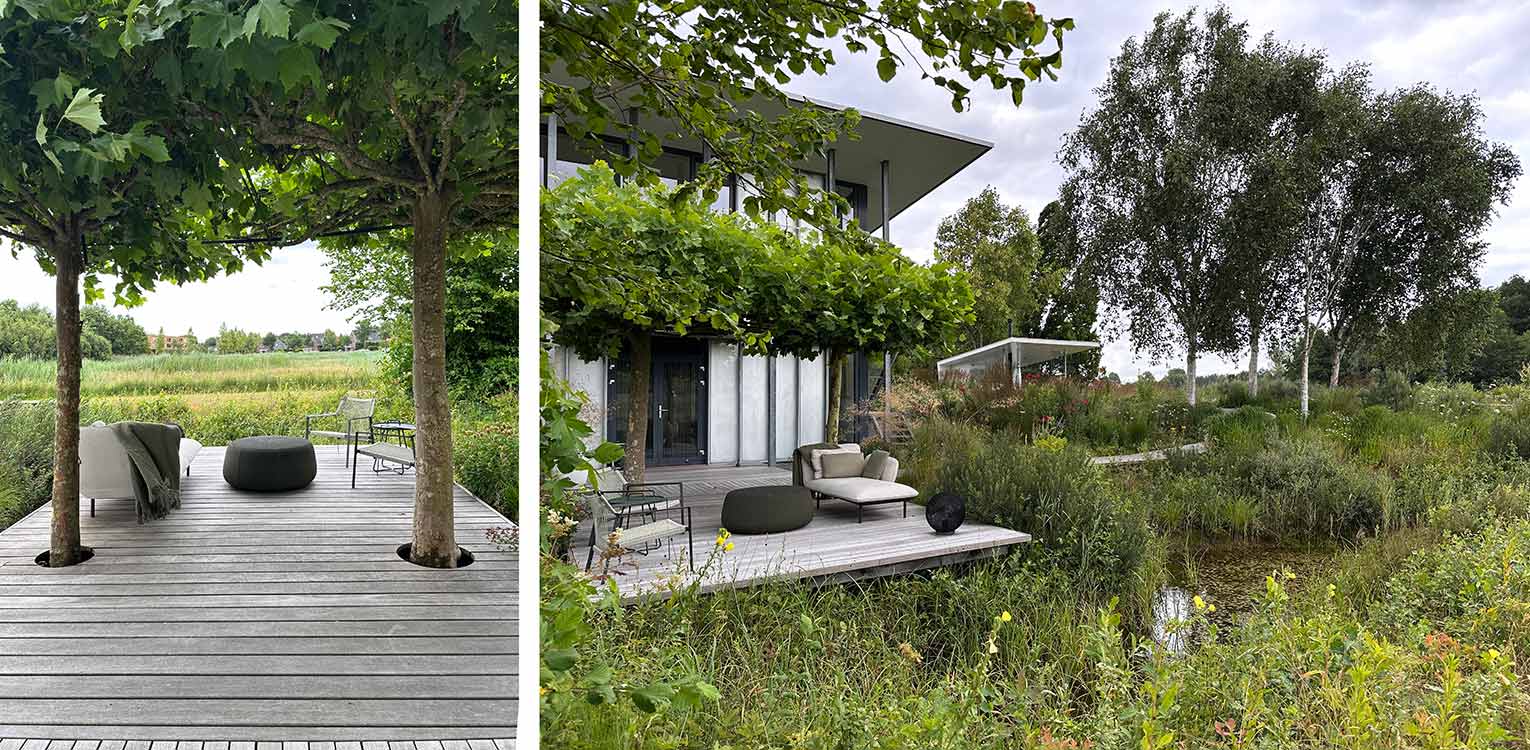 tuinontwerp-landschapstuin-Deventer-dakplatanen-plankier-vlonder-denkers-in-tuinen-Apeldoorn-tuinarchitectuur