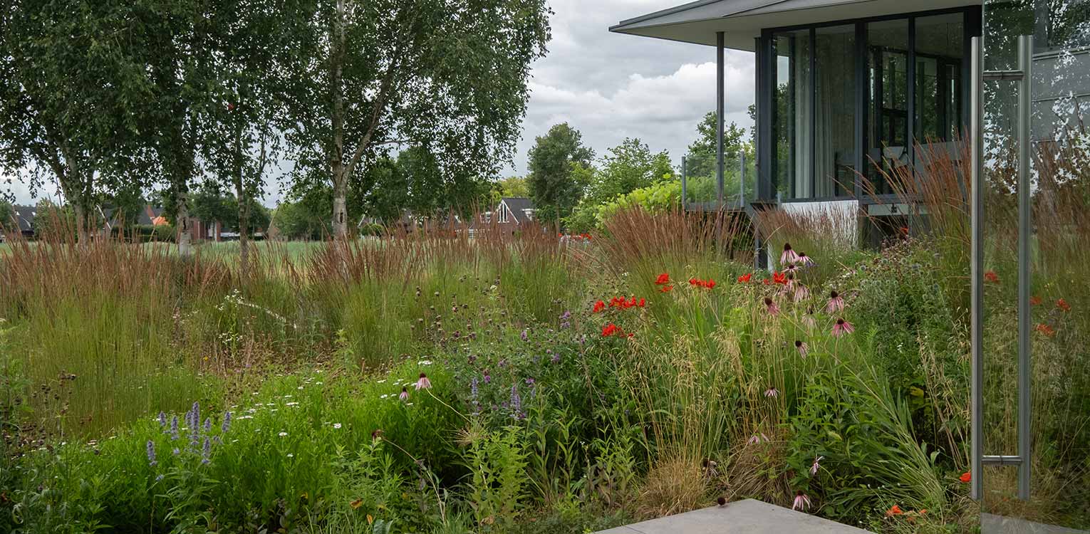 tuinontwerp-landschapstuin-Deventer-prairie-beplanting-bijgebouw-denkers-in-tuinen-Apeldoorn-tuinarchitectuur