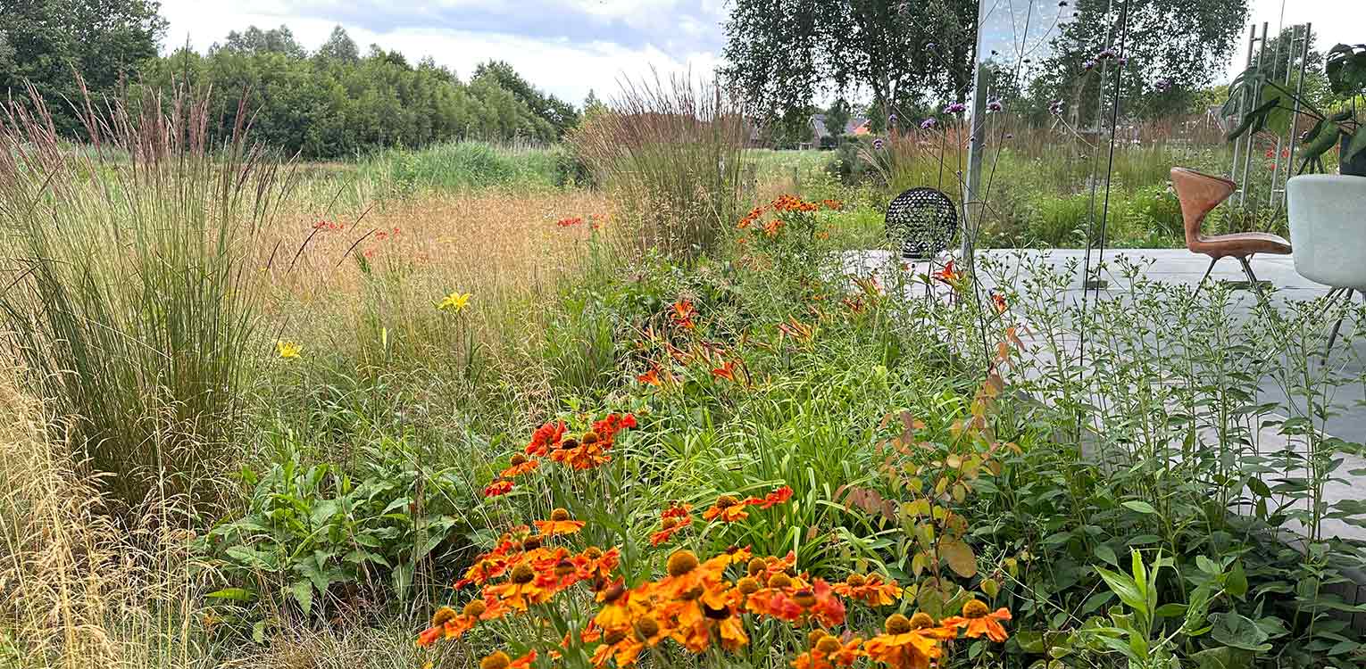 tuinontwerp-landschapstuin-Deventer-prairie-beplanting-denkers-in-tuinen-Apeldoorn-tuinarchitectuur
