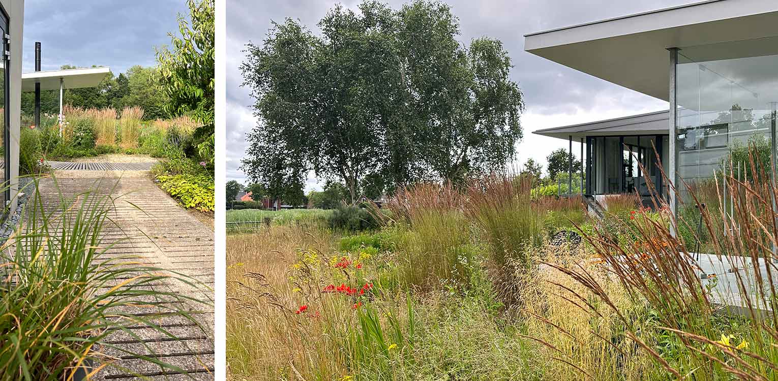 tuinontwerp-landschapstuin-Deventer-prairie-beplanting-plankier-bijgebouw-4-denkers-in-tuinen-Apeldoorn-tuinarchitectuur