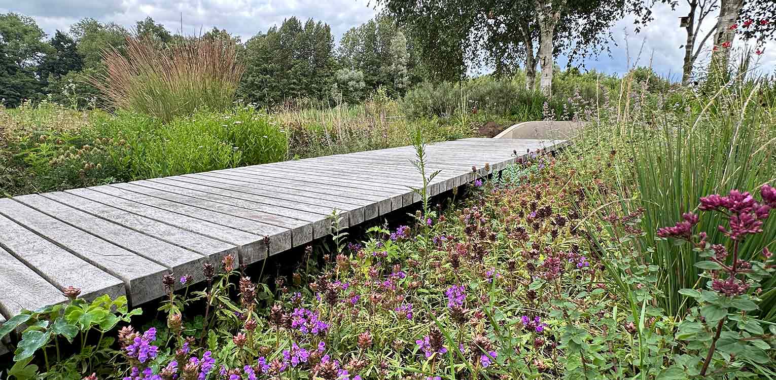 tuinontwerp-landschapstuin-Deventer-prairie-beplanting-plankier-denkers-in-tuinen-Apeldoorn-tuinarchitectuur
