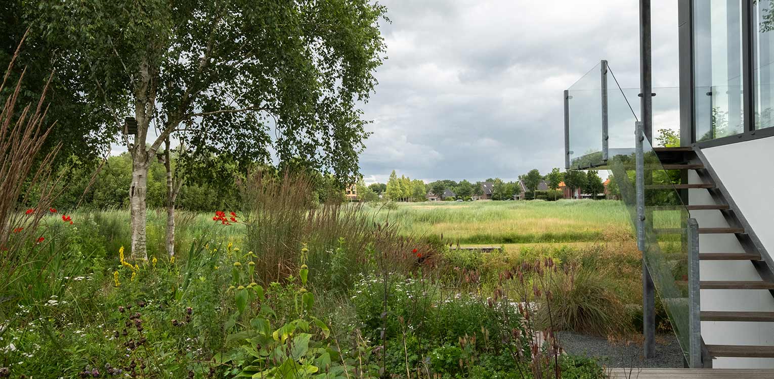 tuinontwerp-landschapstuin-Deventer-zaaimengsel-prairie-border-denkers-in-tuinen-Apeldoorn-tuinarchitectuur