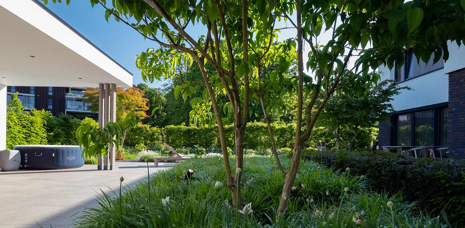 tuinontwerp-stadstuin-Apeldoorn-prunus-yedoensis-denkers-in-tuinen-Apeldoorn-tuinarchitectuur