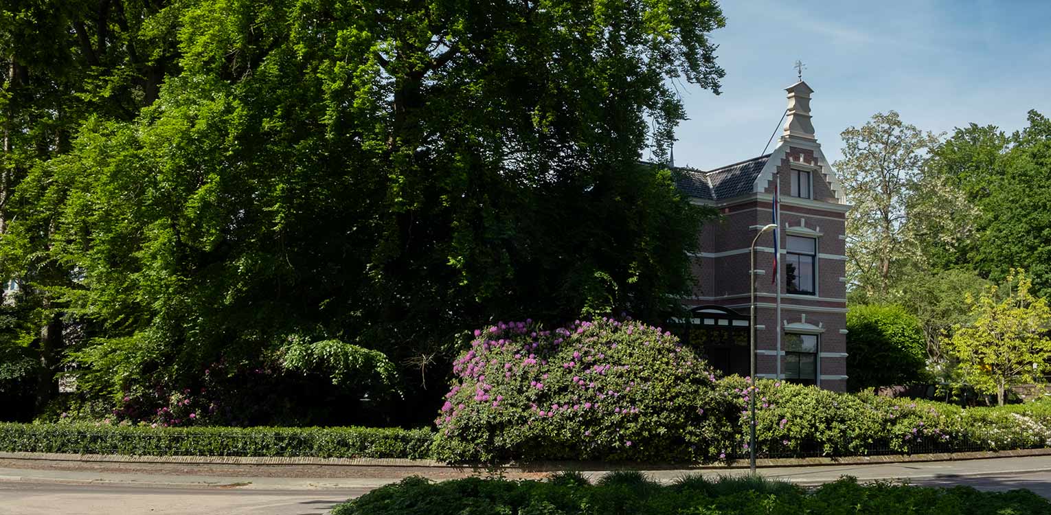 tuinontwerp-stadstuin-Apeldoorn-rhododendron-catawbiense-denkers-in-tuinen-Apeldoorn-tuinarchitectuur