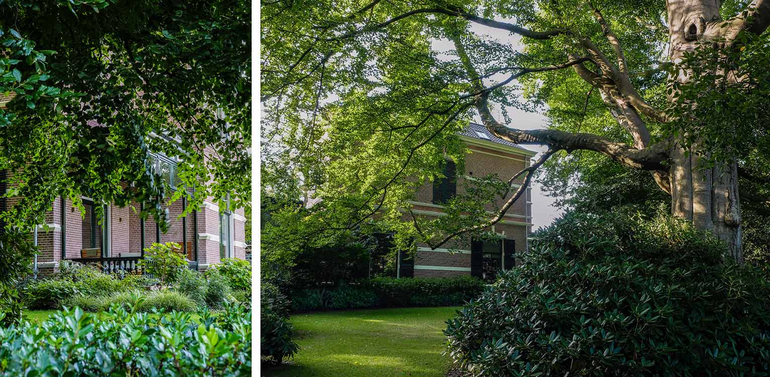 tuinontwerp-stadstuin-Apeldoorn-rhododendron-catawbiense-parktuin-denkers-in-tuinen-Apeldoorn-tuinarchitectuur