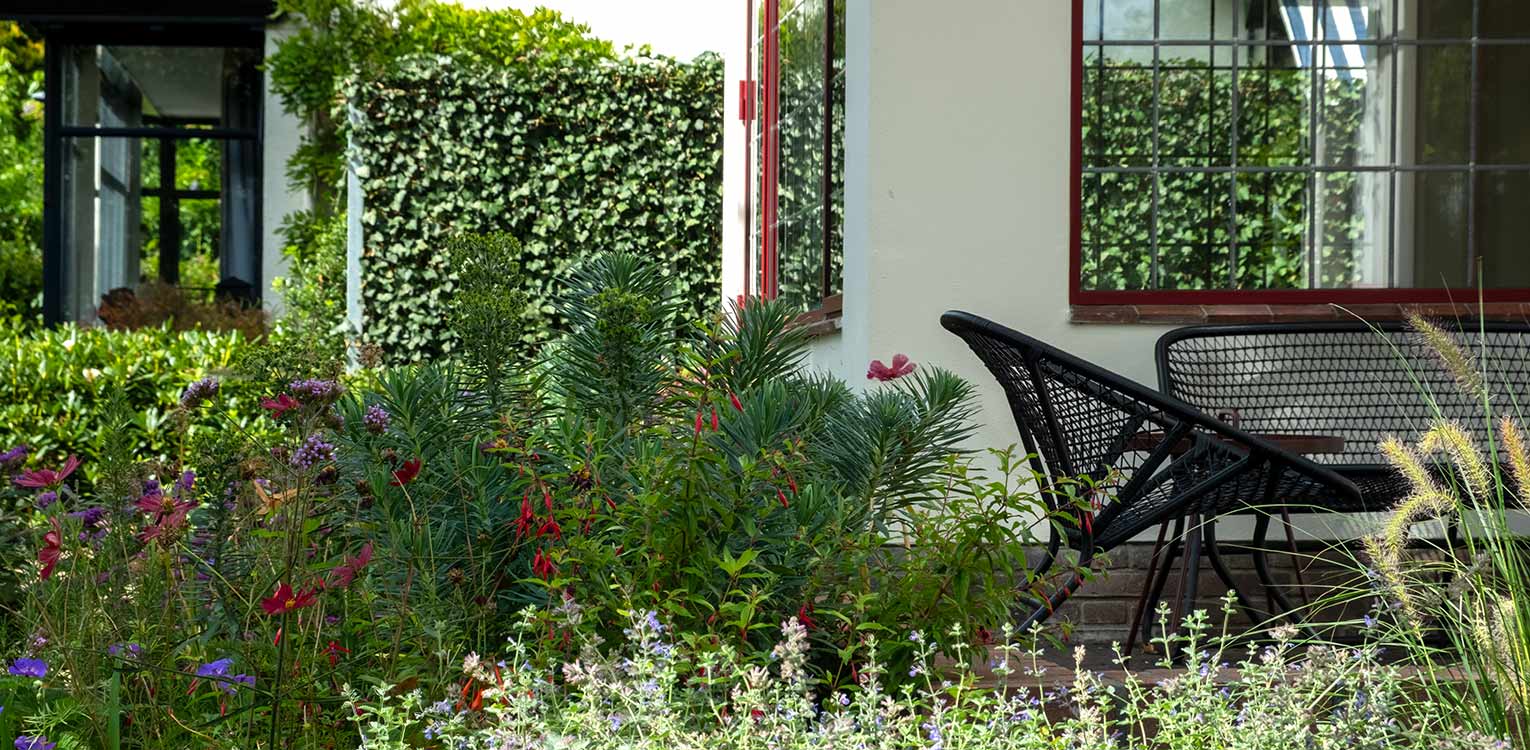tuinontwerp-stadstuin-Arnhem-border-beplanting--denkers-in-tuinen-Apeldoorn-tuinarchitectuur