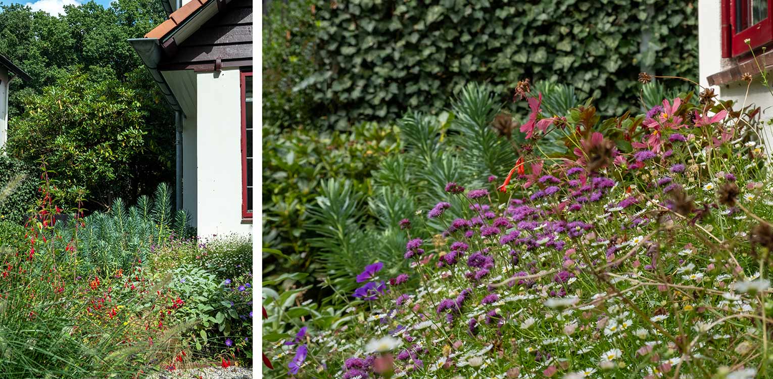 tuinontwerp-stadstuin-Arnhem-vaste-planten-border-denkers-in-tuinen-Apeldoorn-tuinarchitectuur
