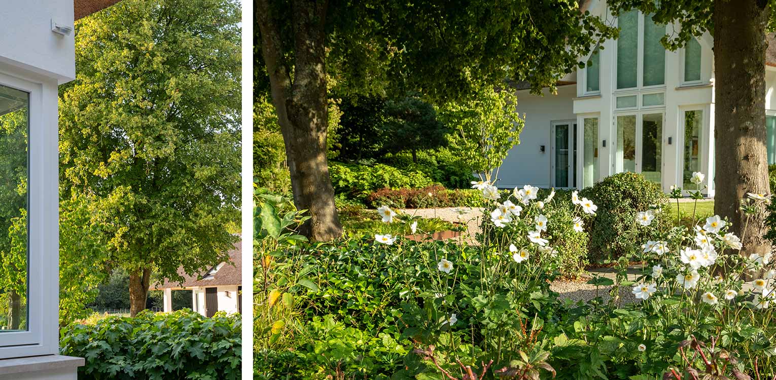 tuinontwerp-villatuin-Aerdenhout-border-beplanting-denkers-in-tuinen-Apeldoorn-tuinarchitectuur
