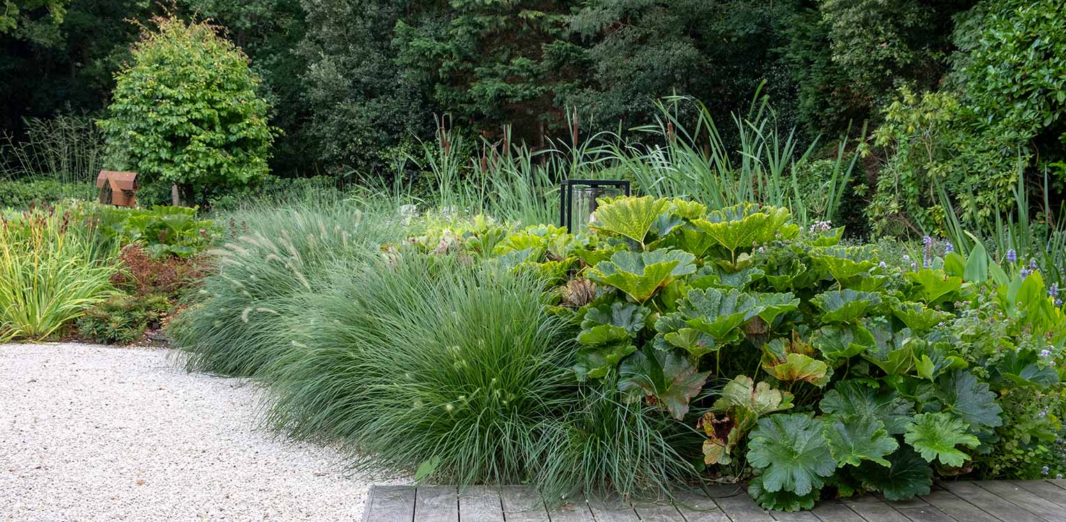 tuinontwerp-villatuin-Aerdenhout-darmera-oeverbeplanting-denkers-in-tuinen-Apeldoorn-tuinarchitectuur