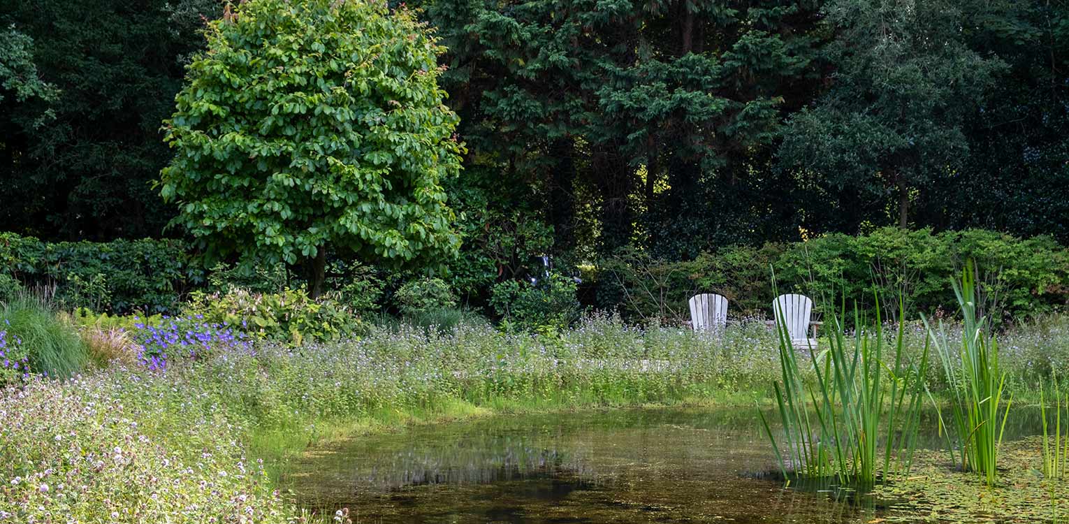 tuinontwerp-villatuin-Aerdenhout-natuurlijke-zwemvijver-denkers-in-tuinen-Apeldoorn-tuinarchitectuur