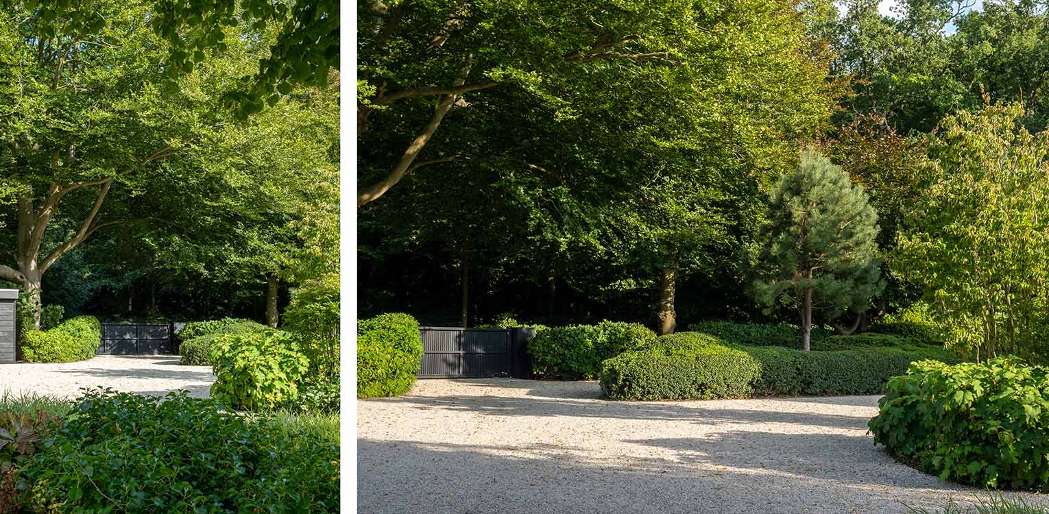 tuinontwerp-villatuin-Aerdenhout-pinus-sylvestris-osmanthus-snoeivorm-castle-grind-denkers-in-tuinen-Apeldoorn-tuinarchitectuur