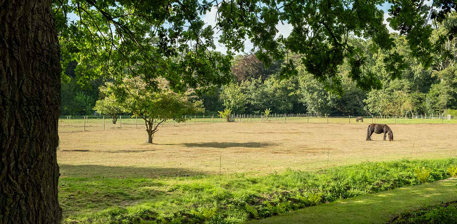 tuinontwerp-villatuin-Aerdenhout-ponyweide-denkers-in-tuinen-Apeldoorn-tuinarchitectuur