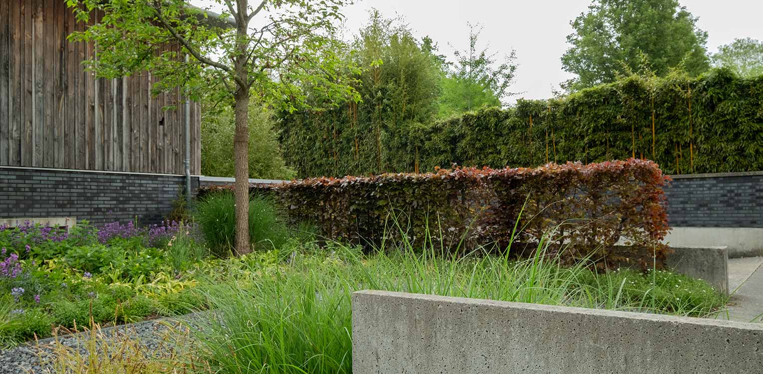 tuinontwerp-villatuin-Doetinchem-rode-beukenhaag-voortuin-denkers-in-tuinen-Apeldoorn-tuinarchitectuur