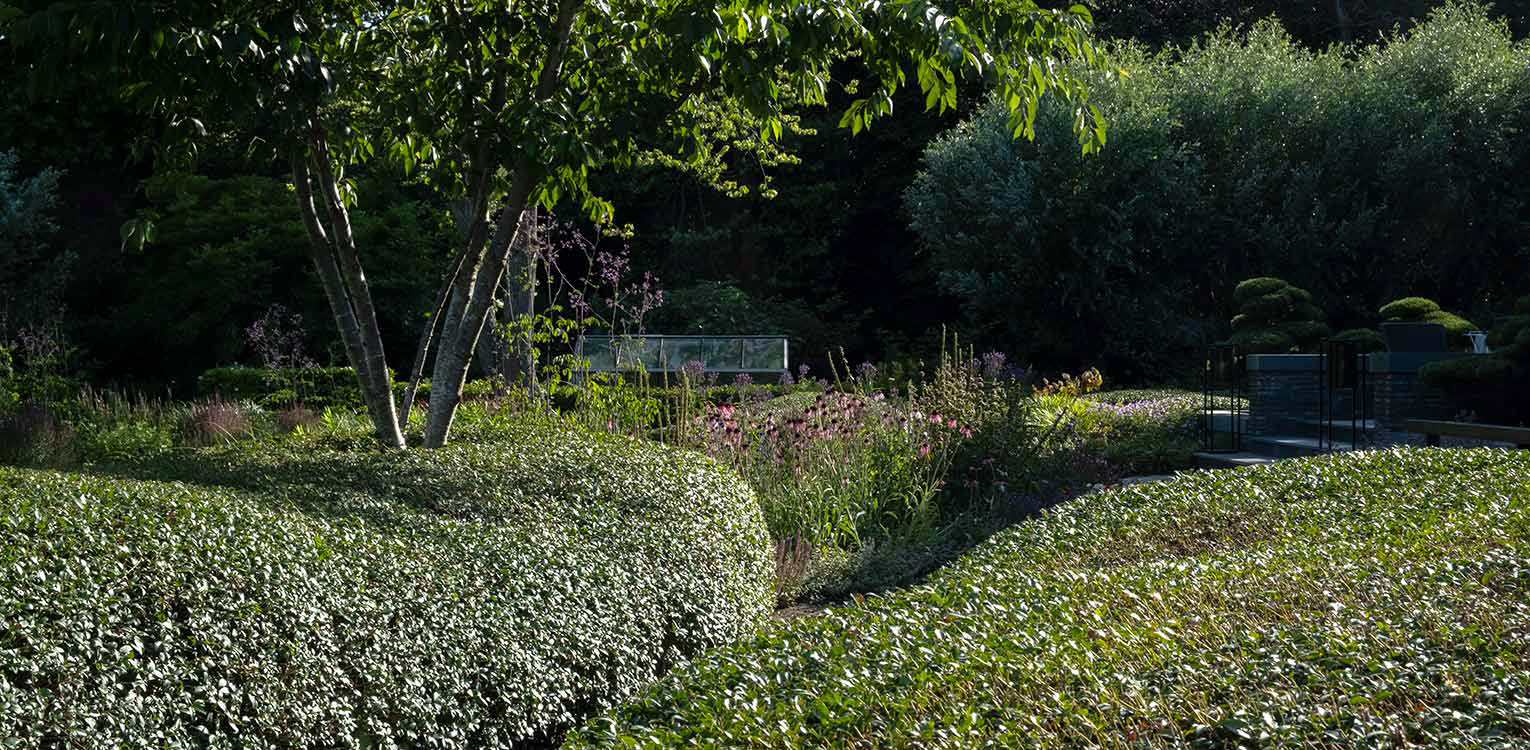 tuinontwerp-villatuin-Westland-Osmathus-snoeivorm-3-denkers-in-tuinen-Apeldoorn-tuinarchitectuur