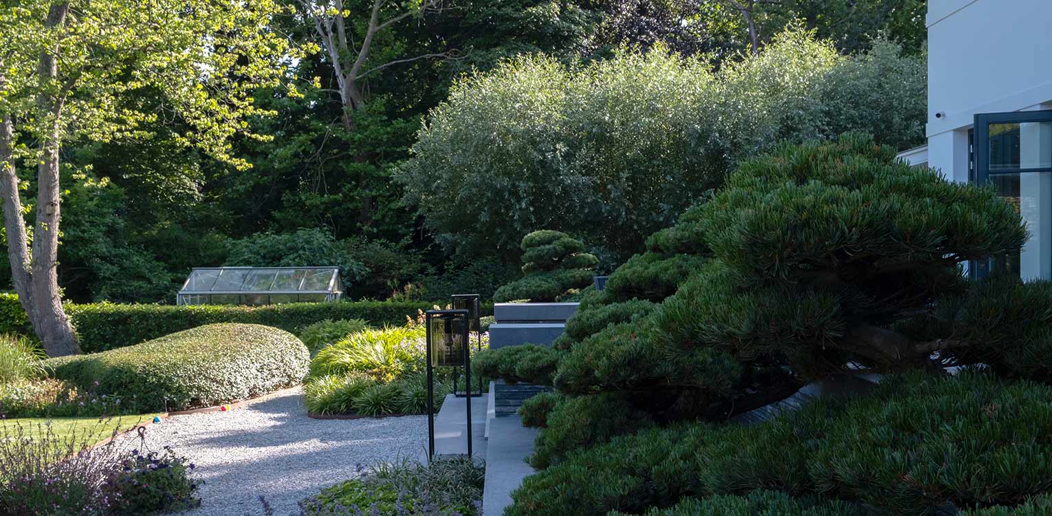 tuinontwerp-villatuin-Westland-Osmathus-snoeivorm-Pinus-bonsai-denkers-in-tuinen-Apeldoorn-tuinarchitectuur