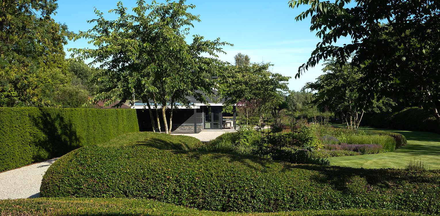 tuinontwerp-villatuin-Westland-Osmathus-snoeivorm-Prunuis-yedoensis-denkers-in-tuinen-Apeldoorn-tuinarchitectuur