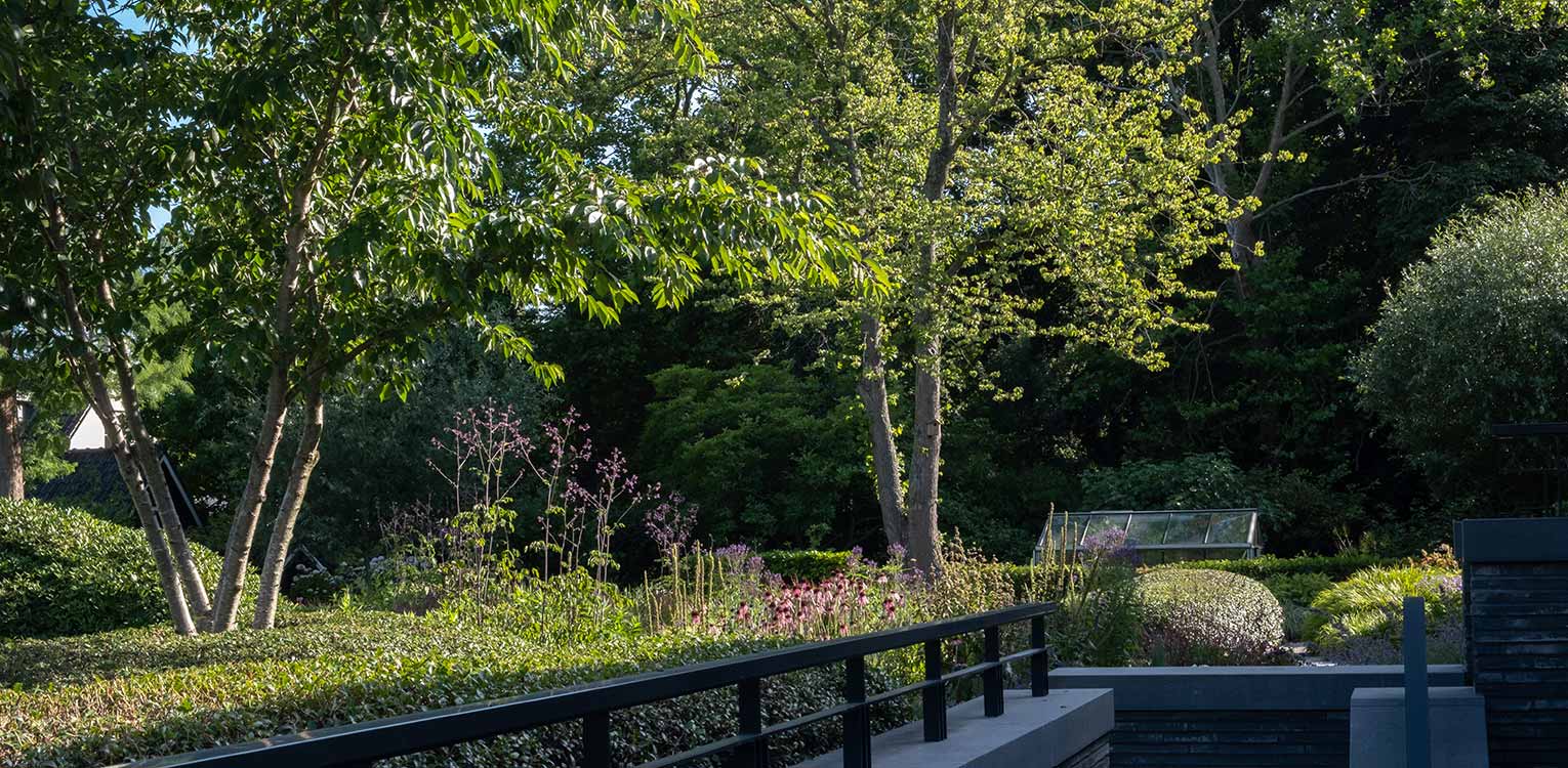 tuinontwerp-villatuin-Westland-Prunus-yedoensis-denkers-in-tuinen-Apeldoorn-tuinarchitectuur