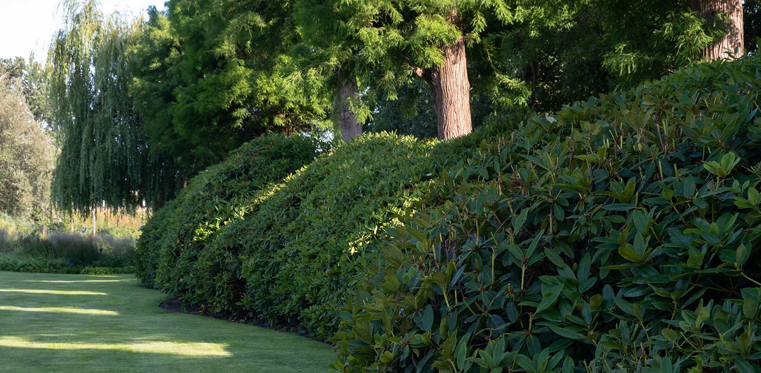 tuinontwerp-villatuin-Westland-Rhodowolk-denkers-in-tuinen-Apeldoorn-tuinarchitectuur