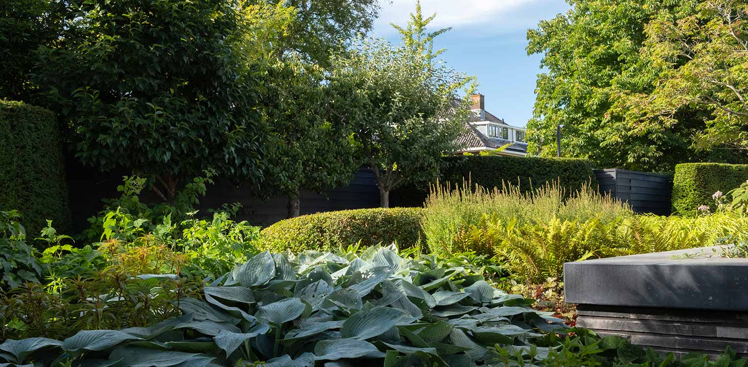 tuinontwerp-villatuin-Westland-border-beplanting-2-denkers-in-tuinen-Apeldoorn-tuinarchitectuur