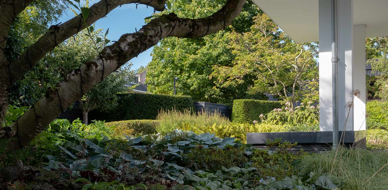 tuinontwerp-villatuin-Westland-border-beplanting-denkers-in-tuinen-Apeldoorn-tuinarchitectuur