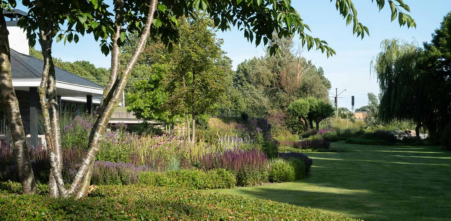 tuinontwerp-villatuin-Westland-borderbeplanting-botenhuis-denkers-in-tuinen-Apeldoorn-tuinarchitectuur