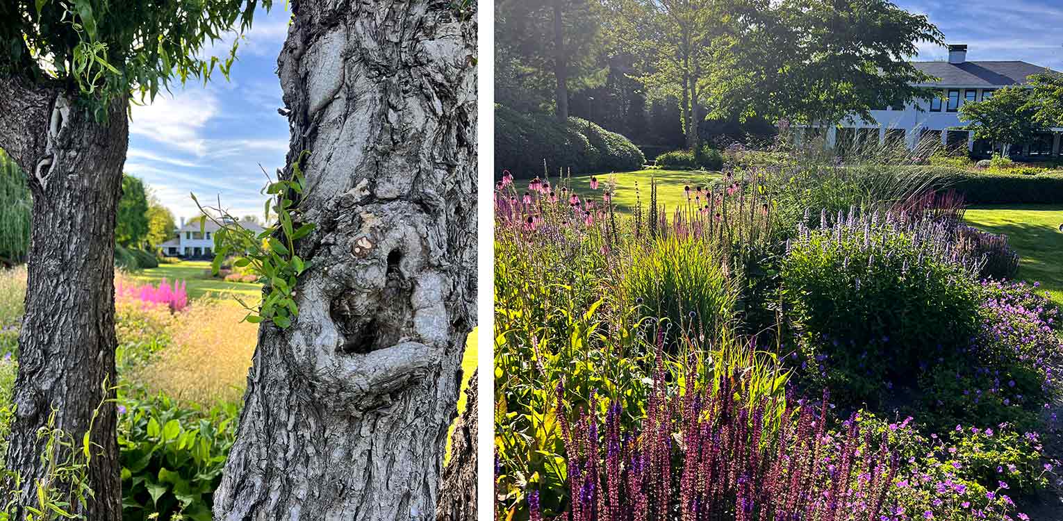 tuinontwerp-villatuin-Westland-borderbeplanting-vaste-planten-border-2-denkers-in-tuinen-Apeldoorn-tuinarchitectuur