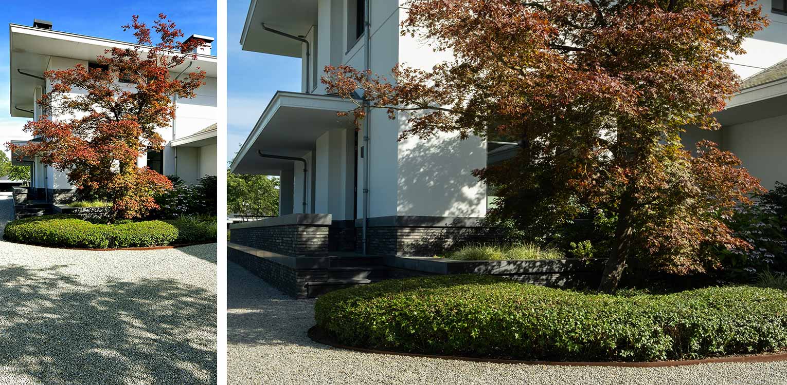 tuinontwerp-villatuin-Westland-rode-Acer-solitair-snoeivorm-denkers-in-tuinen-Apeldoorn-tuinarchitectuur