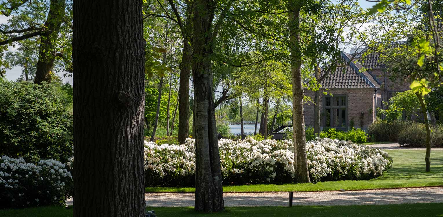 tuinontwerp-villatuin-vechtstreek-Rhododendron-cunninghams-white-denkers-in-tuinen-Apeldoorn-tuinarchitectuur