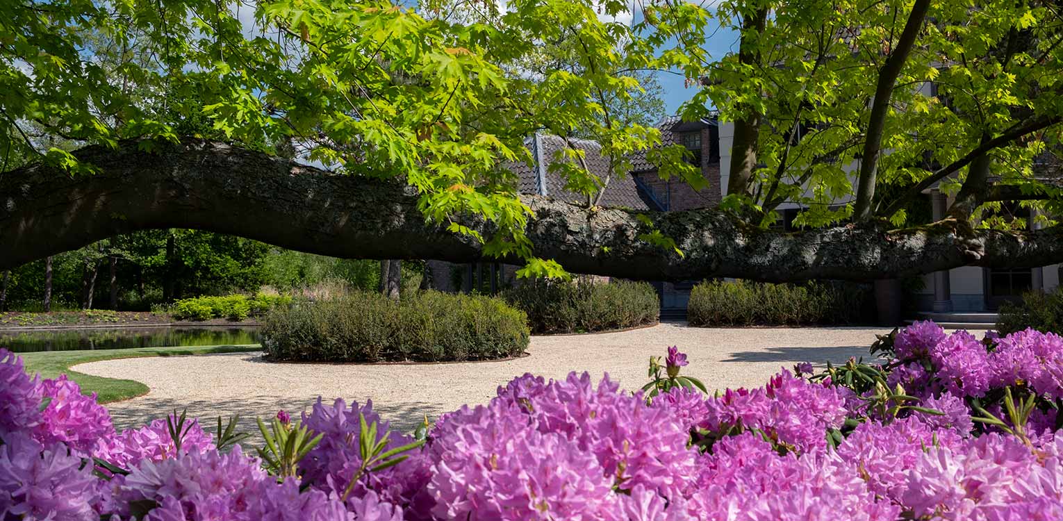 tuinontwerp-villatuin-vechtstreek-Rhodowolk-osmanthus-snoeivorm-denkers-in-tuinen-Apeldoorn-tuinarchitectuur