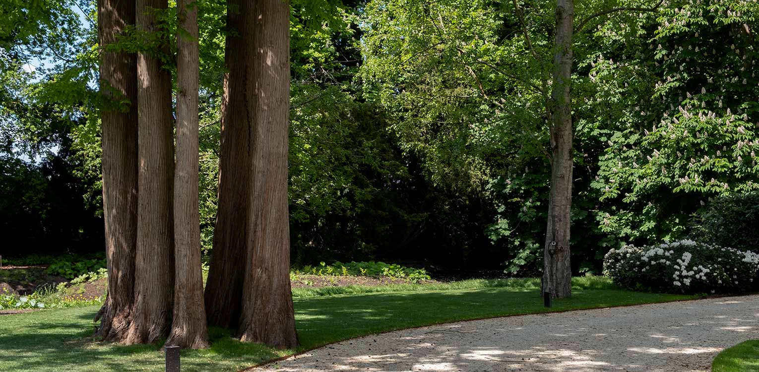 tuinontwerp-villatuin-vechtstreek-metasequoia-denkers-in-tuinen-Apeldoorn-tuinarchitectuur