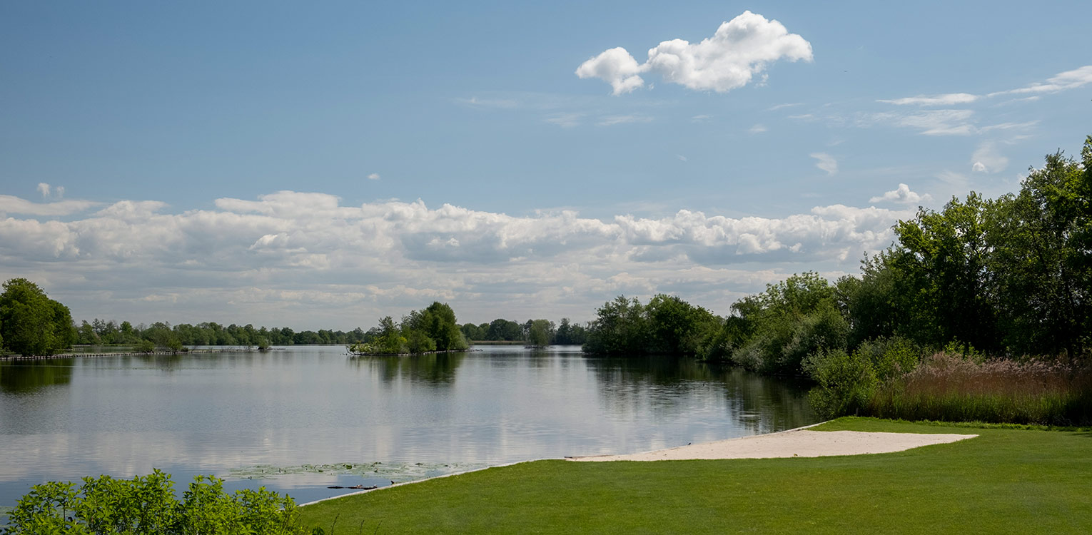 tuinontwerp-villatuin-vechtstreek-zandstrand-denkers-in-tuinen-Apeldoorn-tuinarchitectuur