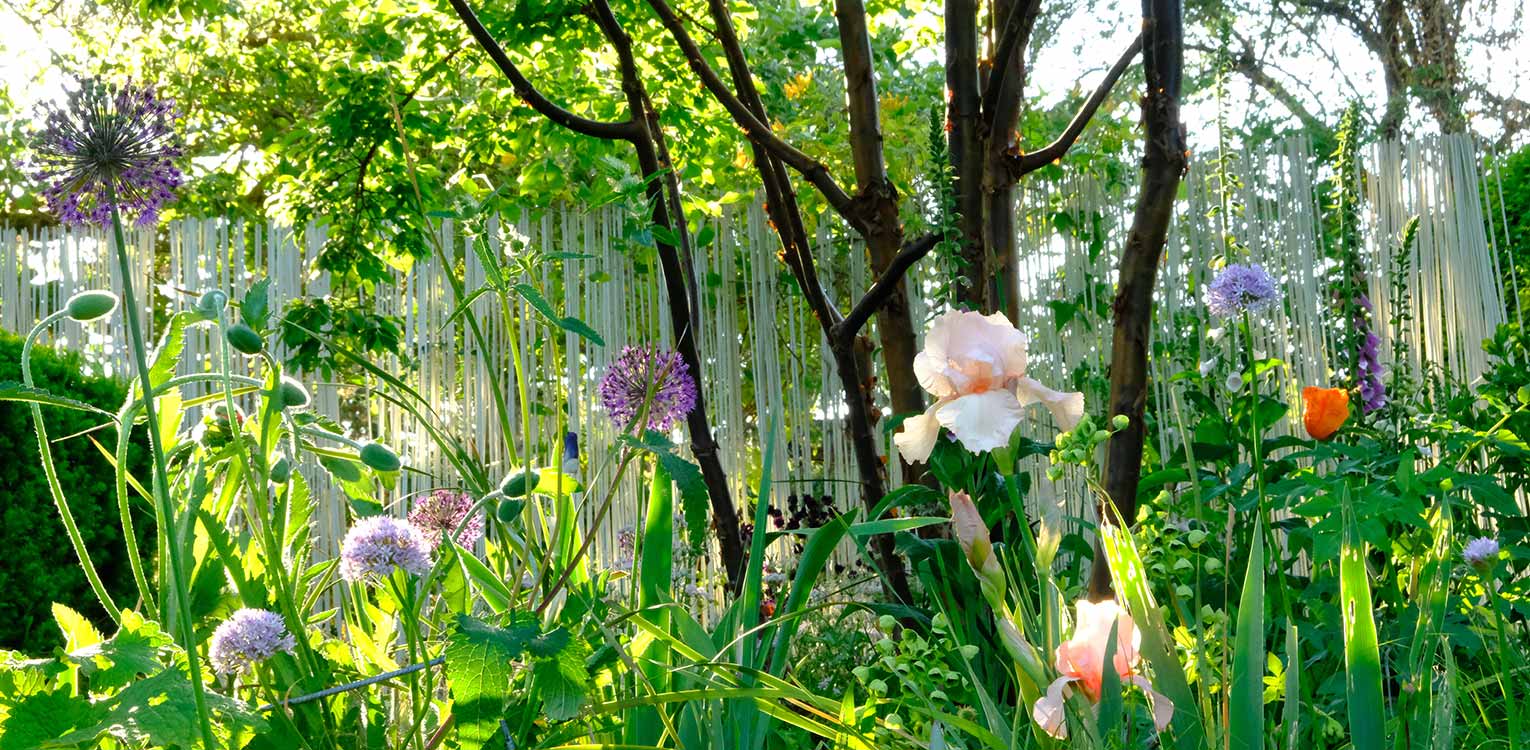 tuinarchitectuur-stadstuin-Apeldoorn-Denkers-in-Tuinen