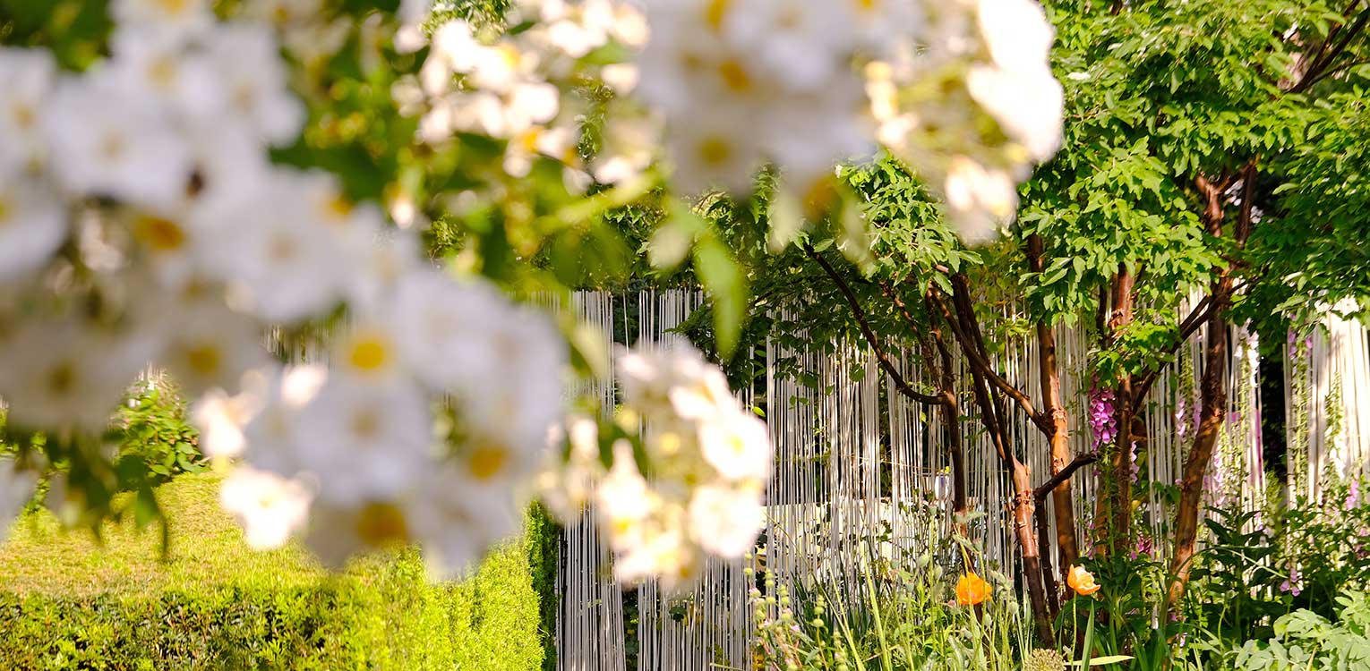 tuinarchitectuur-stadstuin-Apeldoorn-rosa-seugull-Denkers-in-Tuinen