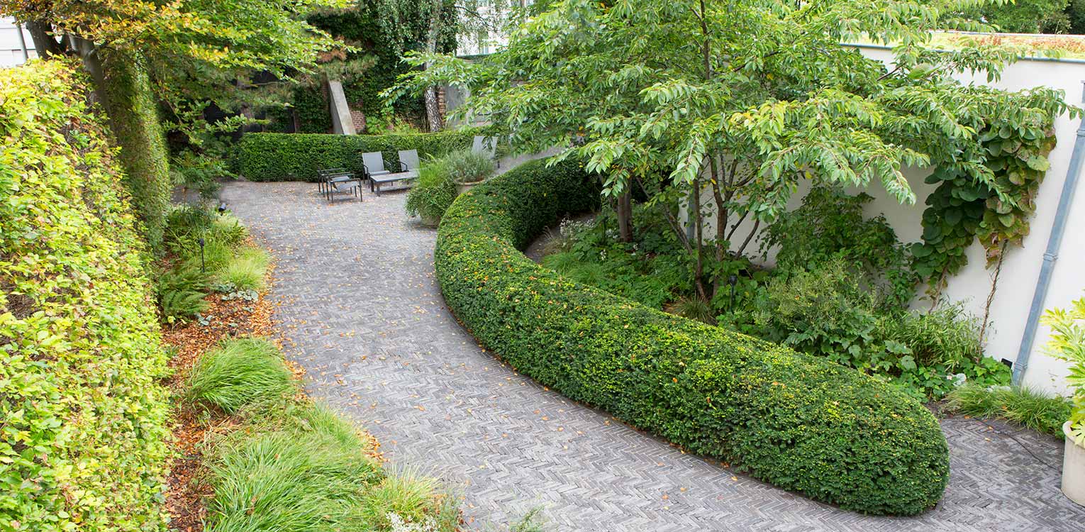 tuinontwerp-stadstuin-Westen-rondgesnoeide-taxushaag-2-denkers-in-tuinen-Apeldoorn-tuinarchitectuur