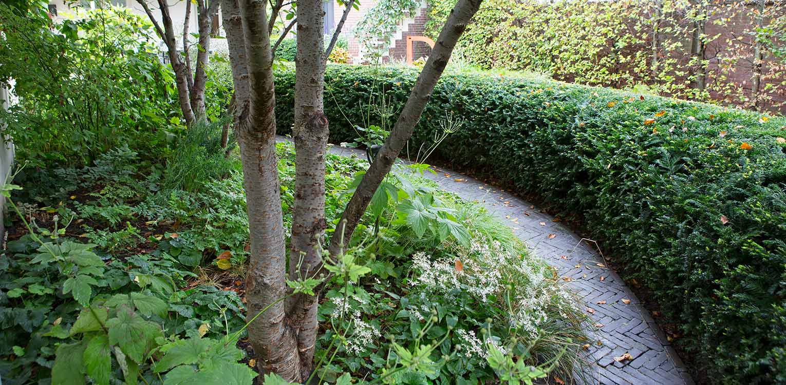 tuinontwerp-stadstuin-Westen-rondgesnoeide-taxushaag-6-denkers-in-tuinen-Apeldoorn-tuinarchitectuur