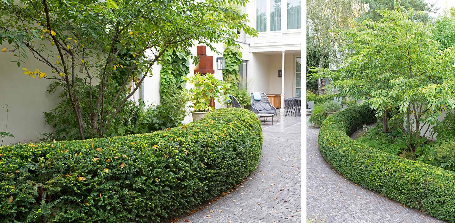 tuinontwerp-stadstuin-Westen-rondgesnoeide-taxushaag-denkers-in-tuinen-Apeldoorn-tuinarchitectuur